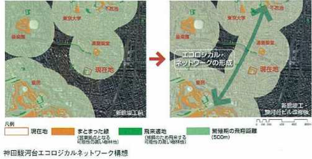神田駿河台エコロジカルネットワーク構想