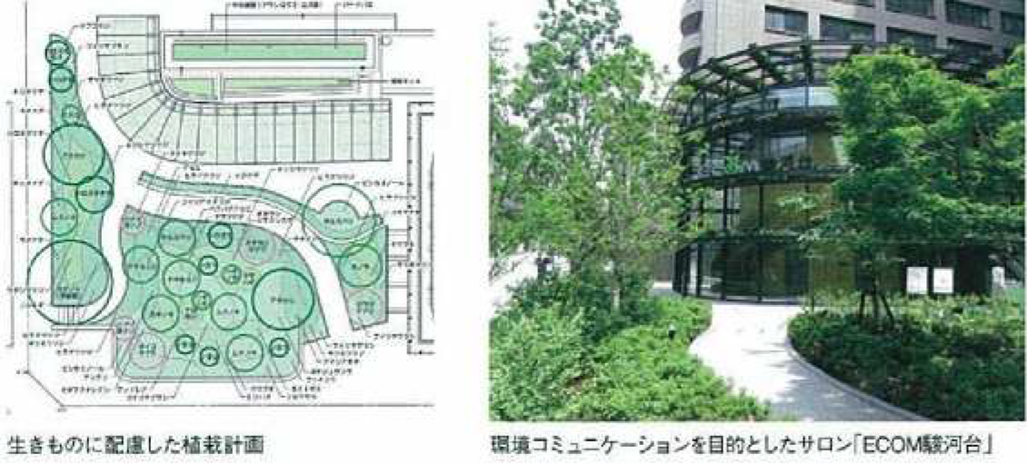 生き物に配慮した植栽計画・環境コミュニケーションを目的としたサロン[ECOM駿河台]